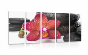 5 dielny obraz orchidea a zen kamene na bielom pozadi