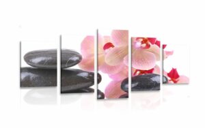 5 dielny obraz spa kamene a orchidea