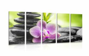 5 dielny obraz tropicka zen kompozicia