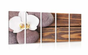 5 dielny obraz wellness kamene a orchidea na drevenom pozadi