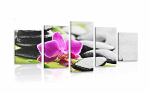 5 dielny obraz wellness zatisie s fialovou orchideou