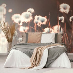 fototapeta bavlnena trava