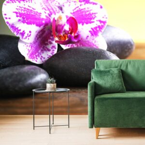 fototapeta orchidea a cierne kamene