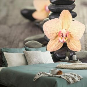 fototapeta orchidea a zen kamene