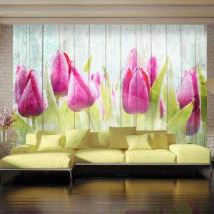 fototapeta tulipany na dreve tulips on white wood