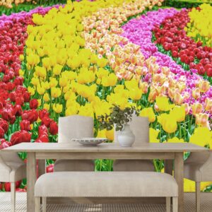 fototapeta zahrada plna tulipanov