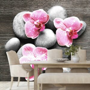 fototapeta zen kompozicia s orchideou