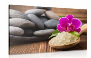 obraz caro wellnessu