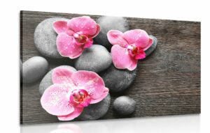 obraz elegantna kompozicia s kvetmi orchidei