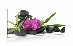 obraz fialova orchidea v zen zatisi