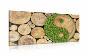 obraz jin a jang v eko prevedeni