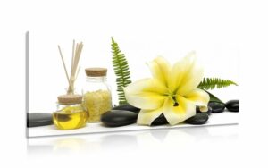 obraz lalia a wellness zatisie
