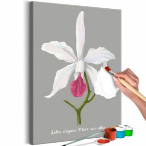 obraz malovanie podla cisiel elegancia kvetu lelia elegans