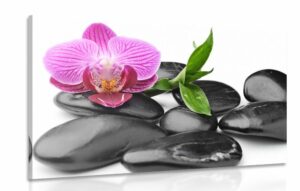 obraz masazne wellness kamene