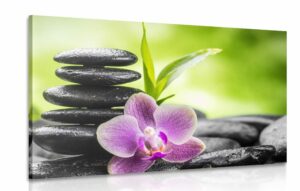 obraz meditacna zen kompozicia