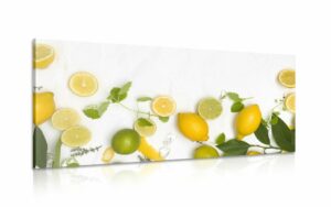 obraz mix citrusovych plodov