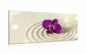 obraz piesocnata zen zahrada s fialovou orchideou