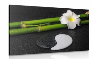obraz spa zatisie a kamene jin a jang