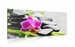 obraz wellness zatisie s fialovou orchideou