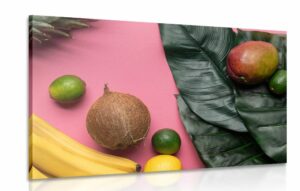 obraz zmes tropickeho ovocia