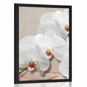 plagat biela orchidea na platne