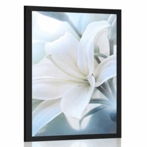 plagat biely kvet lalie na abstraktnom pozadi