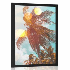 plagat luce slnka medzi palmami