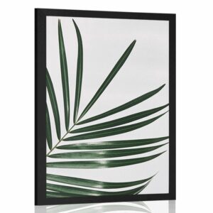 plagat nadherny palmovy list