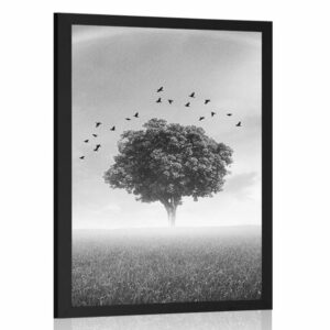 plagat osamely strom na luke v ciernobielom prevedeni