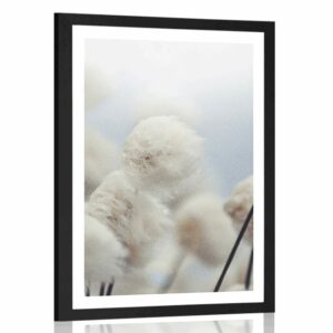 plagat s paspartou arkticke kvety bavlny