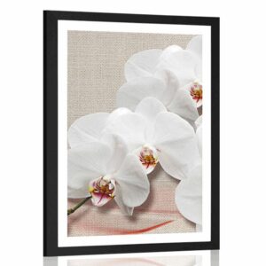 plagat s paspartou biela orchidea na platne