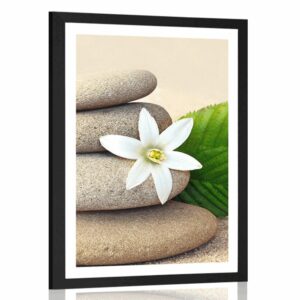 plagat s paspartou biely kvet a kamene v piesku