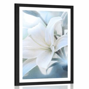 plagat s paspartou biely kvet lalie na abstraktnom pozadi