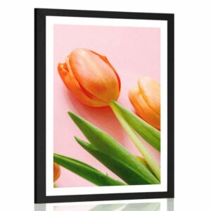 plagat s paspartou elegantny tulipan