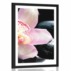 plagat s paspartou exoticka orchidea