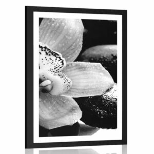 plagat s paspartou exoticka orchidea v ciernobielom prevedeni
