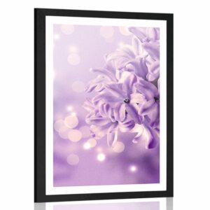plagat s paspartou fialovy kvet orgovanu