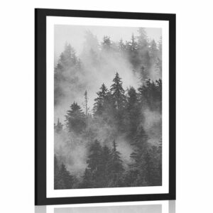 plagat s paspartou hory v hmle v ciernobielom prevedeni