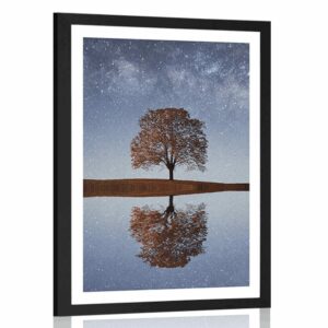 plagat s paspartou hviezdna obloha nad osamelym stromom