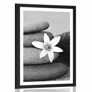 plagat s paspartou kvet a kamene v piesku v ciernobielom prevedeni