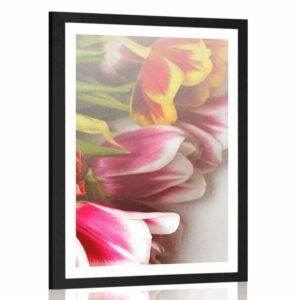 plagat s paspartou kytica farebnych tulipanov