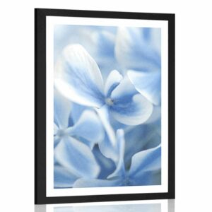 plagat s paspartou modro biele kvety hortenzie