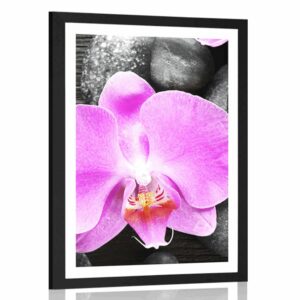 plagat s paspartou nadherna orchidea a kamene