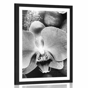 plagat s paspartou nadherna orchidea a kamene v ciernobielom prevedeni