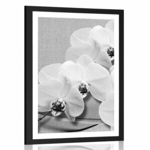 plagat s paspartou orchidea na platne v ciernobielom prevedeni