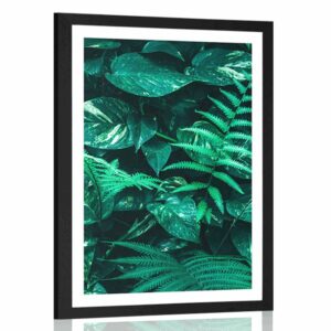 plagat s paspartou svieze tropicke listy