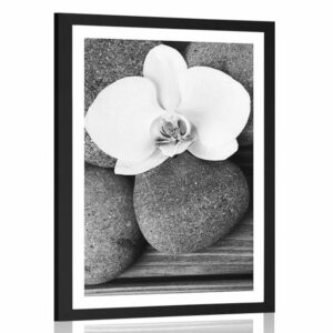 plagat s paspartou wellness kamene a orchidea na drevenom pozadi v ciernobielom prevedeni