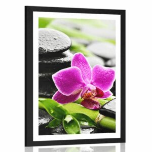 plagat s paspartou wellness zatisie s fialovou orchideou
