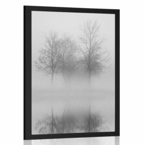 plagat stromy v hmle v ciernobielom prevedeni