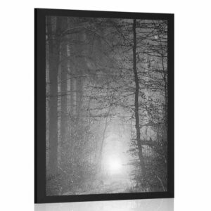 plagat svetlo v lese v ciernobielom prevedeni